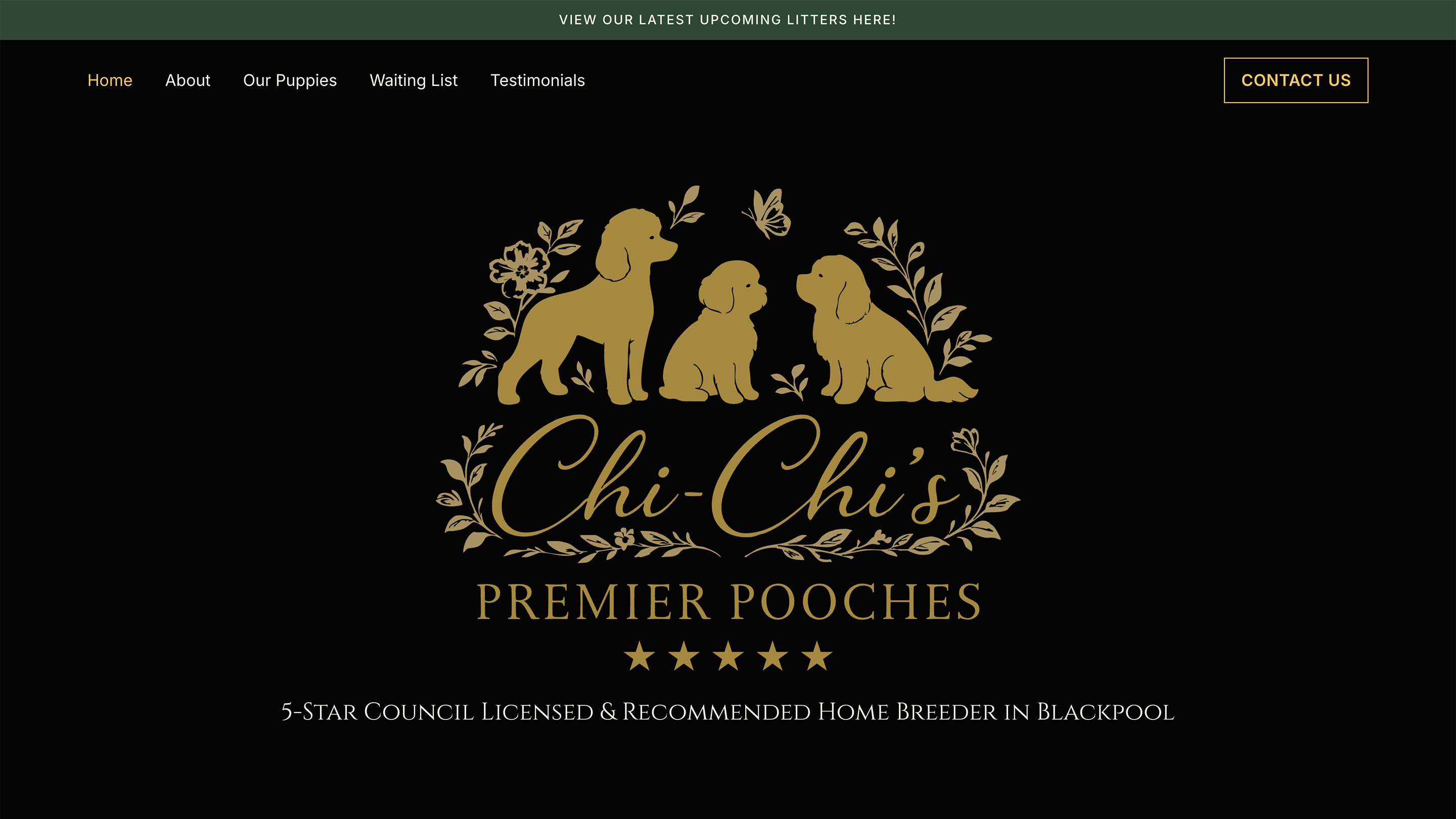 Chi-Chi's Premier Pooches